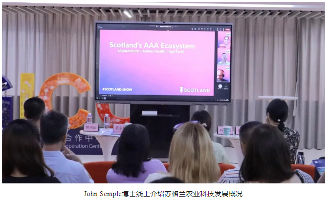 1728454292369592.png 1728454286070.png